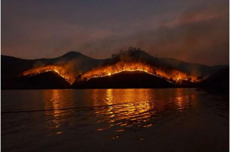 Wildfires May Contaminate Drinking Water Long After Fires End, Study Finds