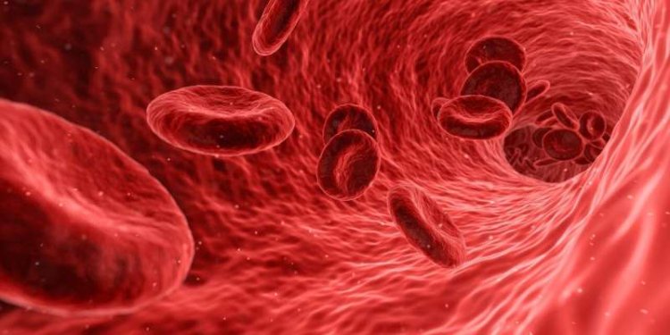 Study Examines Link Between Rising Atmospheric CO₂ and Changes in Human Blood Chemistry