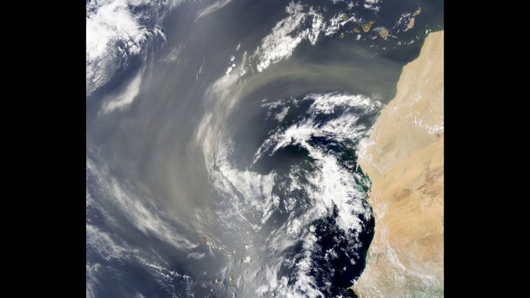 Saharan Dust Helps Nourish the Amazon Rainforest, Scientists Find