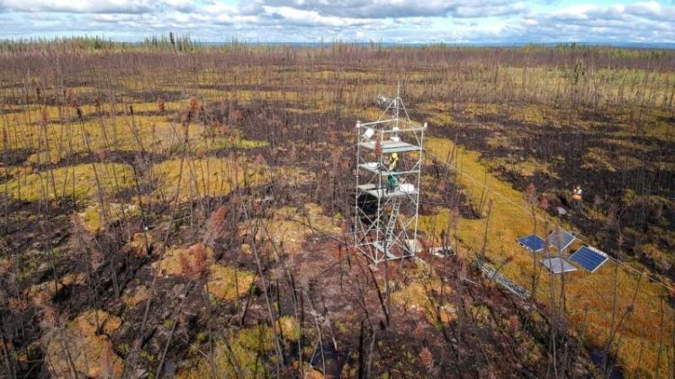 How Wildfires In Permafrost Peatlands Release Centuries Of Stored Carbon