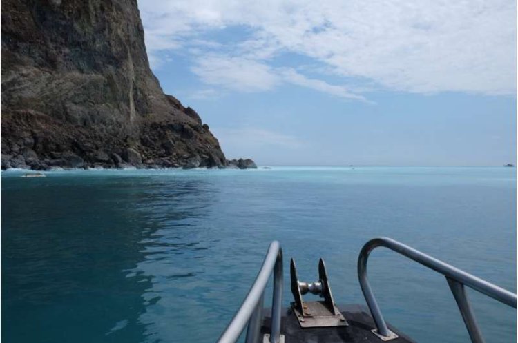 Ancient Hydrothermal Carbon Fuels Microbial Life Near Taiwan, Study Explains
