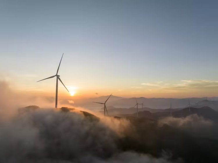 Andhra Pradesh Urges Faster Execution Of Renewable Energy Projects