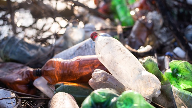 Study Highlights India’s Focus on Reducing Single-Use Plastic Use