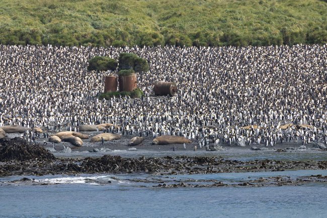 Nearly 10% Of Global Ocean Now Protected, But Major Gaps Remain: UNEP