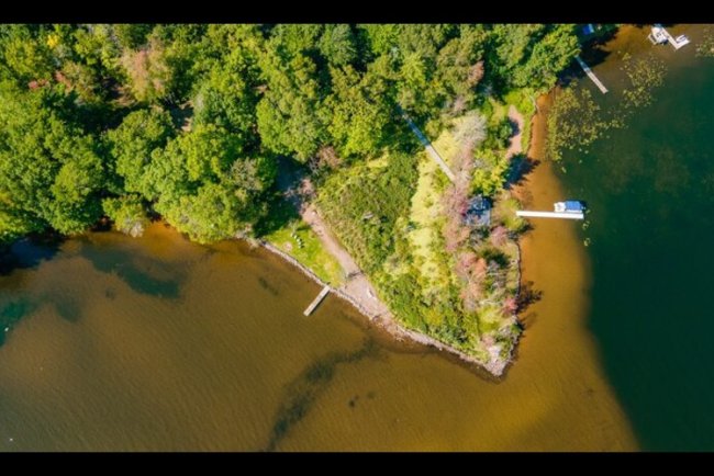 Google Backs Wetland Restoration to Boost Carbon Removal