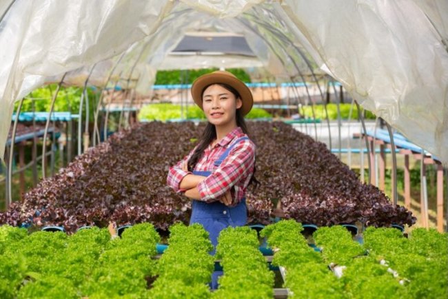 Vietnam, China Boost Farm Trade and Supply Chains