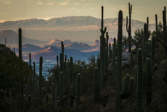 Better Weather Forecasts Could Reduce Heat Deaths As Climate Change Intensifies