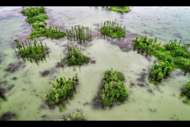 Mangrove Expands Biochar Platform With Grain Acquisition