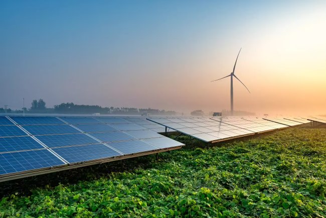 SWREL Secures ₹3,550 Crore Solar EPC Orders In Rajasthan And Maharashtra