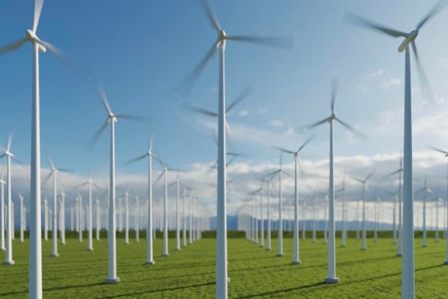 Global Wind Capacity Surges To Record 165 GW In 2025 Led By Asia
