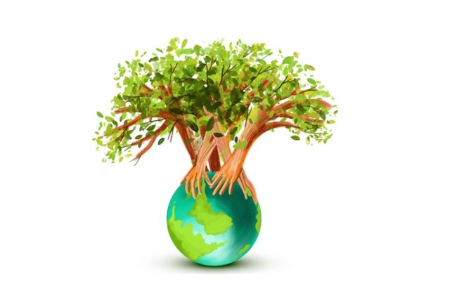 Small Actions, Big Systems: What Earth Day Conversations Are Really Pointing To