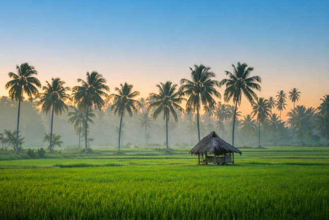 Earth Day 2026: EBG Foundation Begins Rural Sustainability Programme in Telangana