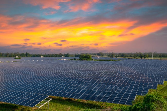Andhra Pradesh To Host Groundbreaking For ₹5,400 Crore Solar Manufacturing Facility By ReNew