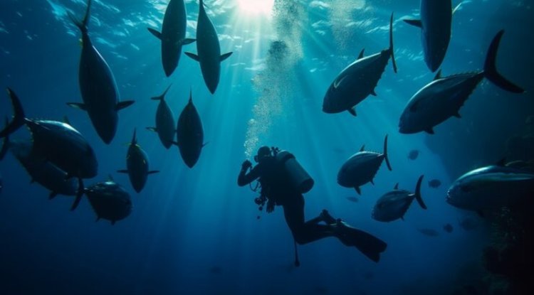 Govt Strengthens Marine Biodiversity with Ocean Mission