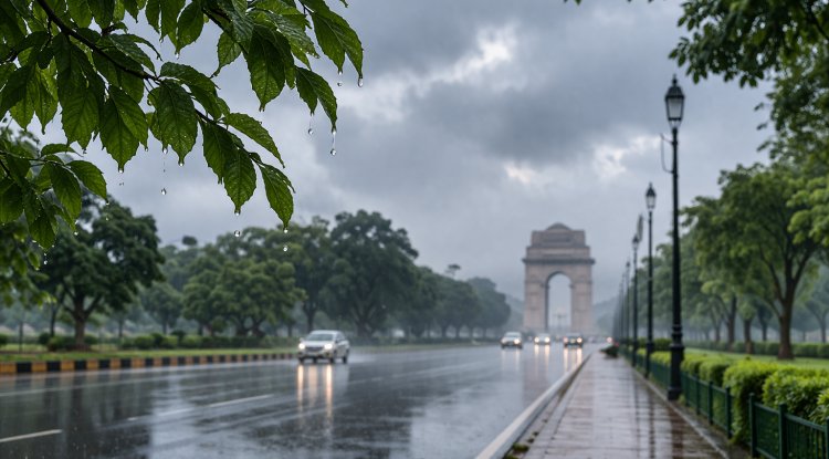 Delhi Weather Turns Unusually Cool, Air Quality Remains Moderate