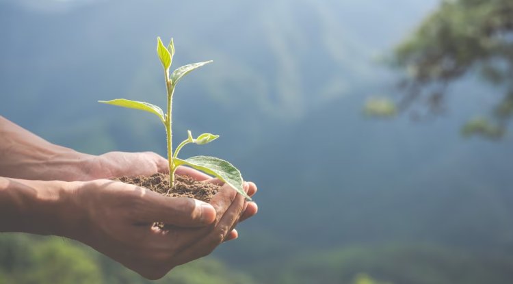 Inspired By Nature, Defined By Trust: Building a Happier And More Sustainable India