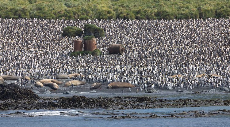 Nearly 10% Of Global Ocean Now Protected, But Major Gaps Remain: UNEP