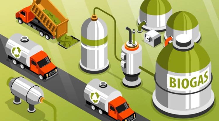 China Launches Integrated Green Fuel Project In Shenyang For Low-Carbon Transition