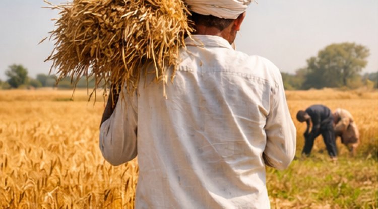 How Bihar’s Satuani Connects Farmers, Food, and Sustainability