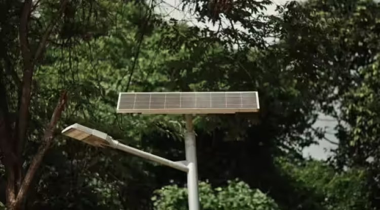 Punjab Approves ₹550 Cr Solar Streetlight Scheme For Rural Villages
