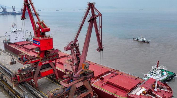 Brazil China Trade Accounts For 25% Of Global Deforestation Risk Report