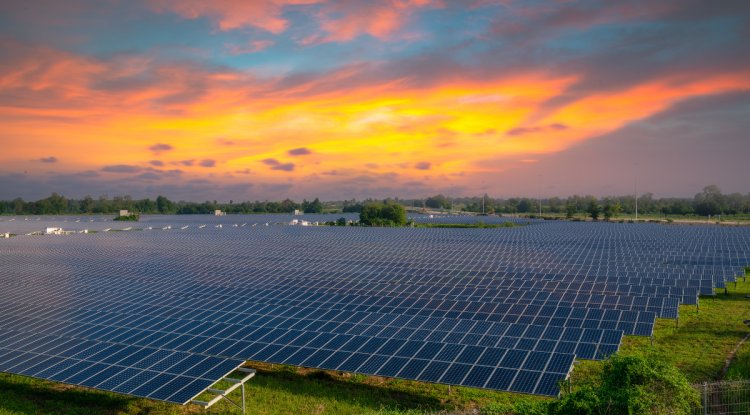 Andhra Pradesh To Host Groundbreaking For ₹5,400 Crore Solar Manufacturing Facility By ReNew