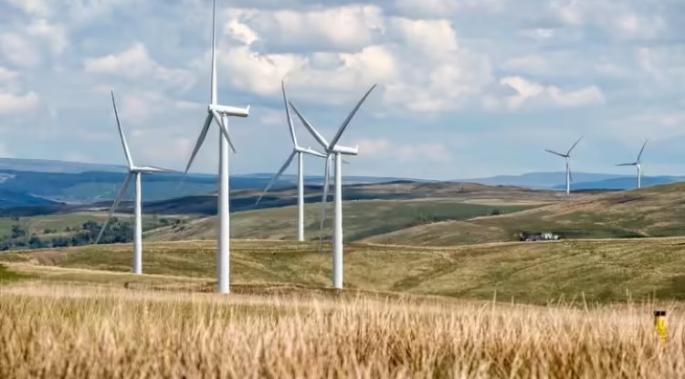 India Wind Energy Capacity Crosses 56 GW With Record Annual Additions