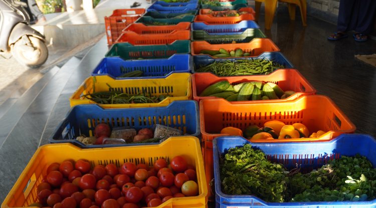 SFPI Expands Food Distribution To Improve Access For Vulnerable Communities