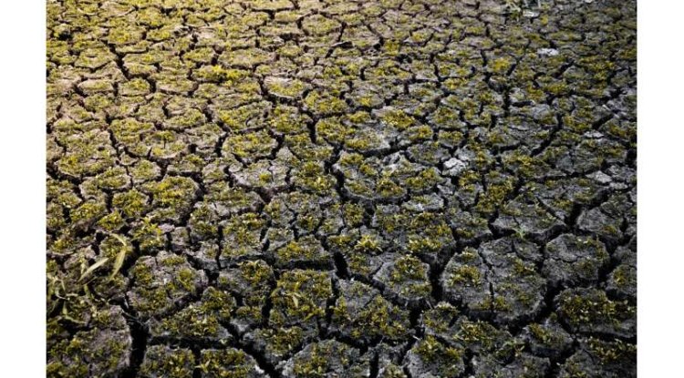 El Niño could return earlier than expected in 2026
