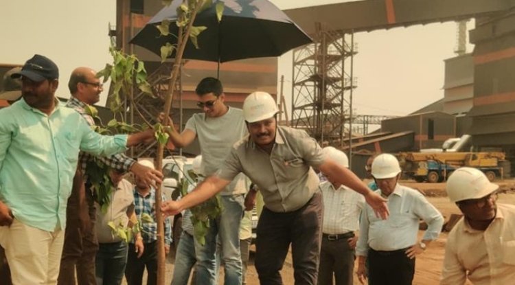 Hyderabad’s Jai Raj Ispat Adds 400 Trees in Green Cover Drive