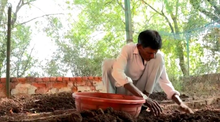 Gujarat Campus Switches To Biogas, Cuts LPG Use And Cooks 500 Meals Daily