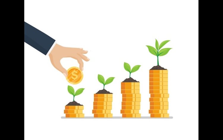 BTG Pactual TIG Raises $370M for Latin Timberland Fund
