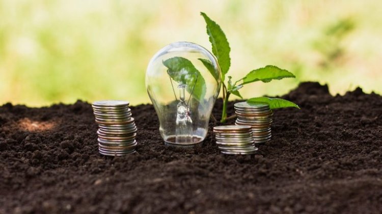 UK’s BII Launches £1.1 Billion Asia Climate Fund To Boost Energy Transition