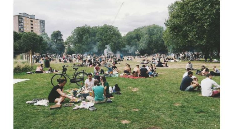 Urban Parks In Poorer Areas Smaller Hotter And More Polluted Study Finds