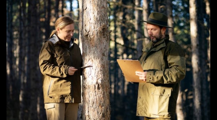 EU Drops Leather From Forest Law Before December Rollout