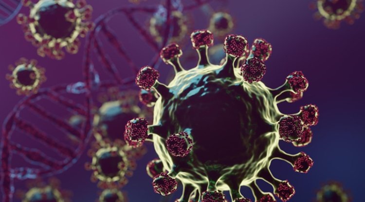 Hantavirus Outbreak Raises Concerns About Climate-change Connection