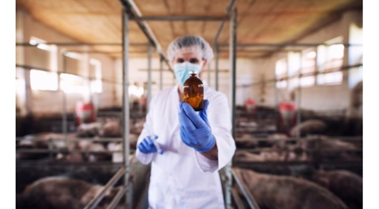 Antibiotic Overuse on Farms Fuelling Antimicrobial Resistance, Say Experts