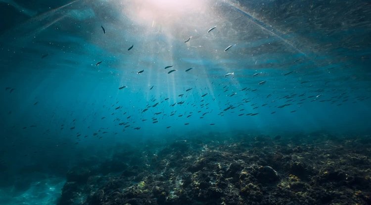 Human-Generated Zinc Found in Remote South Pacific Ocean, Study Shows