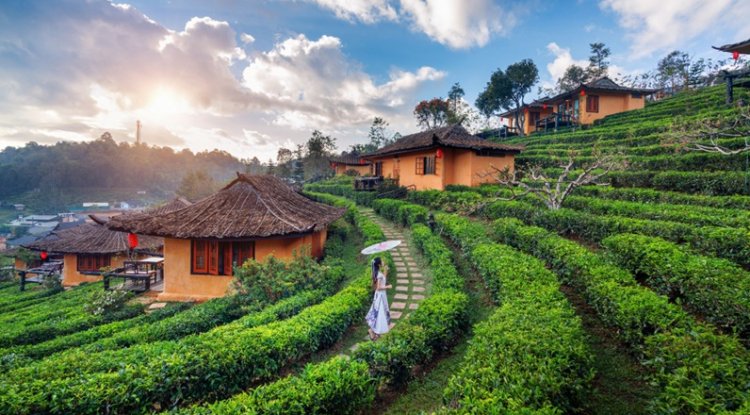 From Margins To Markets: Nature-linked Enterprises & Future Of Livelihoods In Northeast India