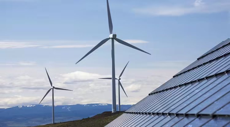 India Expands Renewable Energy Capacity, Says Bhupender Yadav