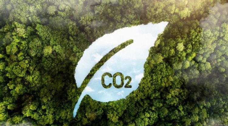 Singapore, Philippines Sign Carbon Credits Agreement Under Paris Climate Rules