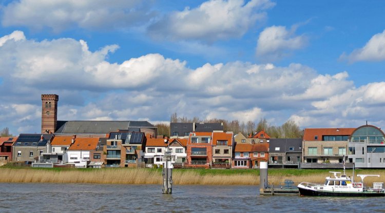 Google-Backed AI Project Targets Farm Water Use In Belgium