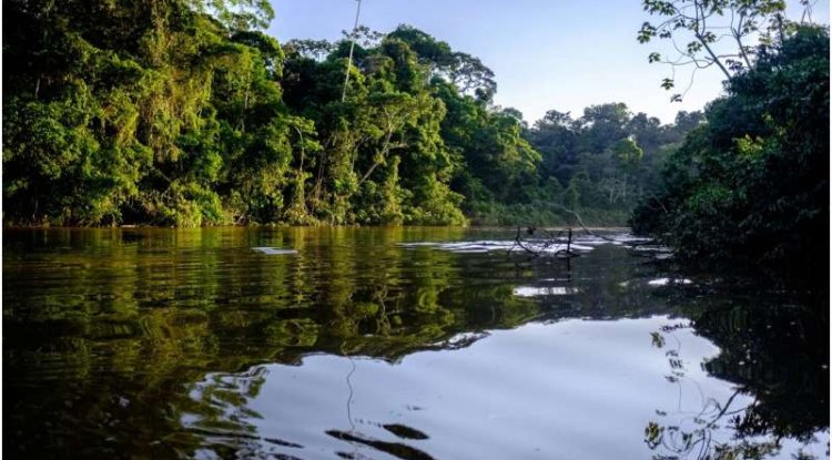 Heavy Atlantic Rainfall May Disrupt African Aerosols Reaching Amazon