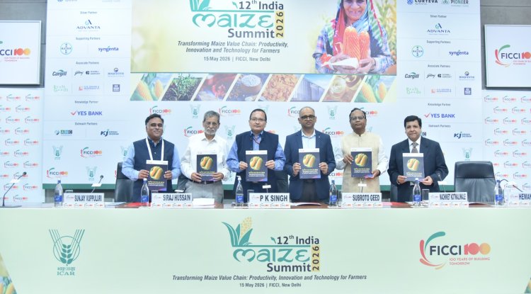 India’s Maize Demand May Reach 72 Million MT By 2030-31: FICCI-YES Bank Report