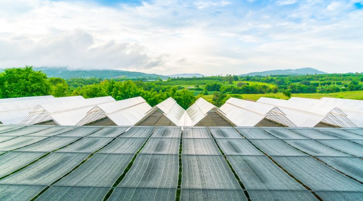 India Moves Floating Solar Push Forward With ₹5,500 Crore Clean Energy Plan