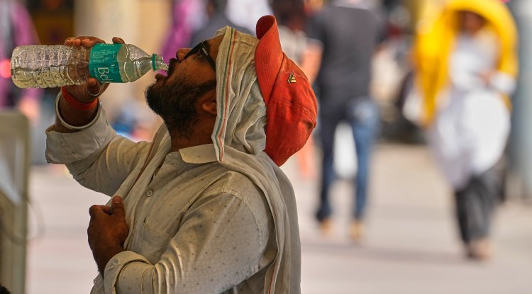 North India Farmers Shift Work To Night Hours As Heat Intensifies