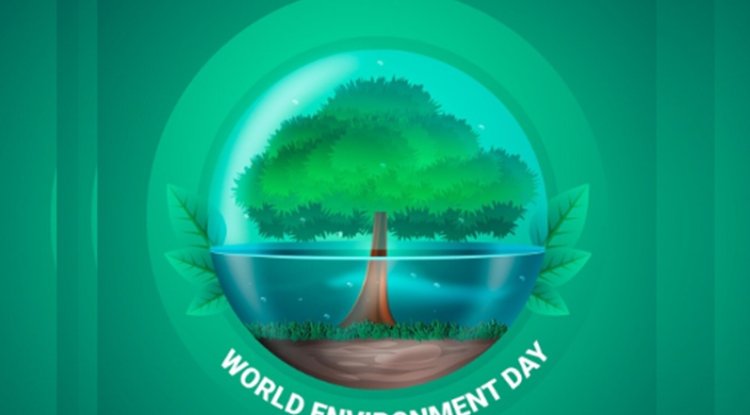Beyond the Green Logo: What World Environment Day Actually Demands In 2026