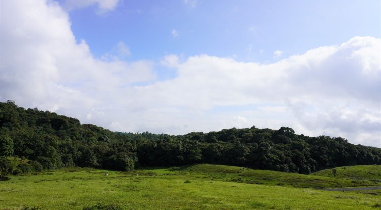 Meghalaya Expands Forest Conservation And Water Protection Programmes