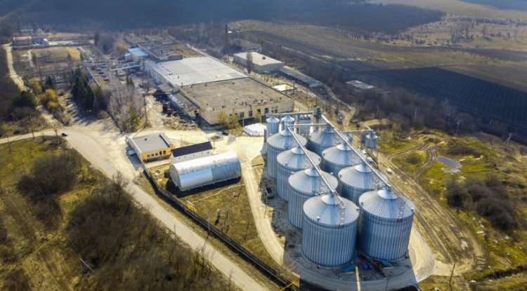 India Launches E85 Fuel to Boost Biofuel Adoption