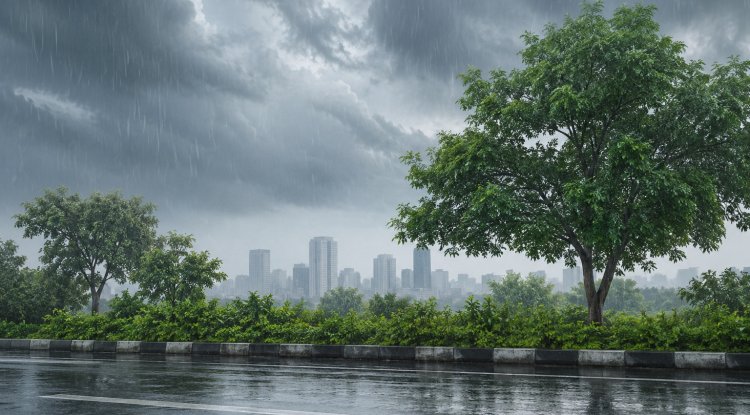 IMD Predicts Light Rain and Strong Winds in Delhi-NCR on June 11-12
